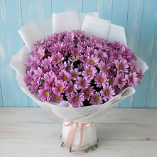 Букет цветов из:  Хризантемы в Мончегорске