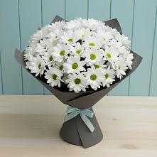 Букет цветов из:  Хризантемы #REPLACE_PRED# Мончегорске