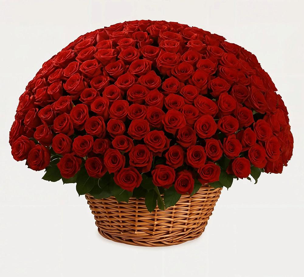 Премиум букет из: Розы в Мончегорске