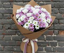 Букет цветов из:  Хризантемы в Мончегорске