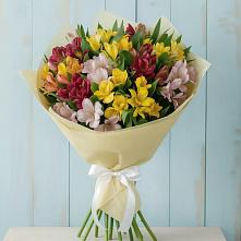 Букет цветов из:  Альстромерии в Мончегорске