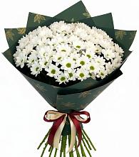 Букет цветов из:  Хризантемы в Мончегорске