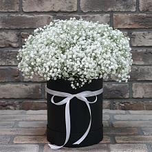Цветочная композиция из Гипсофила в шляпной коробке в Мончегорске