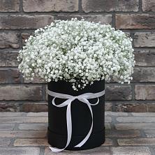 Цветочная композиция из Гипсофила в шляпной коробке в Мончегорске