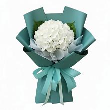 Букет цветов из:  Гортензия в Мончегорске